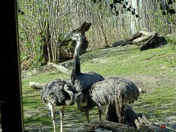 Tiergarten Schönbrunn am 23.03.2023